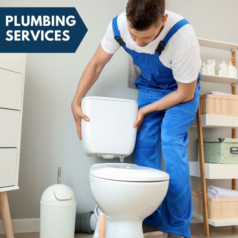 Plumbing Company in Newell, IA